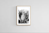 Modern Fine Art Photograph - Silver Skies #3