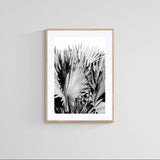 Modern Fine Art Photograph - Silver Skies #3