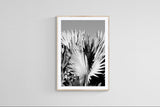 Modern Fine Art Photograph - Silver Skies #4