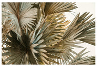 Modern Fine Art Photograph - Spring Break