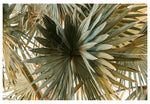 Modern Fine Art Photograph - Spring Break #2