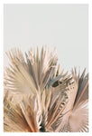 Modern Fine Art Photograph - Spring Palms #1
