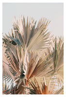 Modern Fine Art Photograph - Spring Palms #2