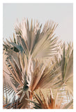 Modern Fine Art Photograph - Spring Palms #2