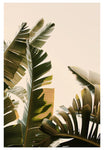 Modern Fine Art Photograph - Stand Up Straight #2