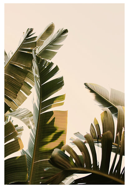 Modern Fine Art Photograph - Stand Up Straight #2