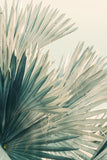 Modern Fine Art Photograph - Sunny Side