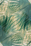 Modern Fine Art Abstract Photograph - Sunny Side Revisited