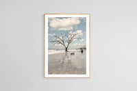 Modern Fine Art Photograph - The Lost Island #4