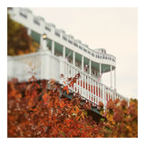 Fine Art Photograph - The Grand In Autumn #1