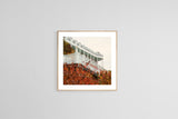 Fine Art Photograph - The Grand In Autumn #1