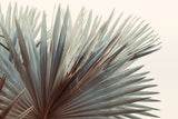 Modern Fine Art Photograph - This Side Of Summer
