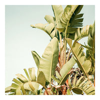 Modern Fine Art Photograph - To The Sky