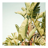 Modern Fine Art Photograph - To The Sky