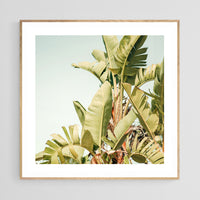 Modern Fine Art Photograph - To The Sky
