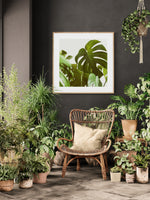 Verdure #5 -  Fine Art Photograph