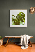 Verdure #5 -  Fine Art Photograph