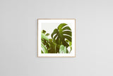 Verdure #5 -  Fine Art Photograph
