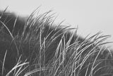 Modern Fine Art Photograph - Waking Up In The Dunes #2