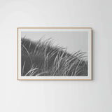 Modern Fine Art Photograph - Waking Up In The Dunes #2