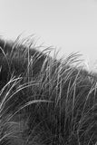 Modern Fine Art Photograph - Waking Up In The Dunes #3