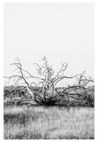 Modern Fine Art Photograph - What Remains