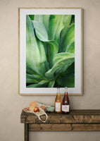 Modern Fine Art Photograph - Agave Twist