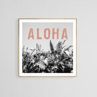 Aloha Palm - Fine Art Photograph