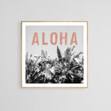 Aloha Palm - Fine Art Photograph