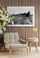 Modern Fine Art Photograph - Auburn #1