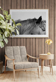 Modern Fine Art Photograph - Auburn #1