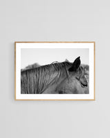 Modern Fine Art Photograph - Auburn #1