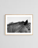 Modern Fine Art Photograph - Auburn #1