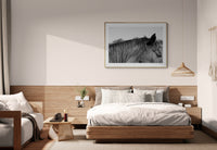 Modern Fine Art Photograph - Auburn #1