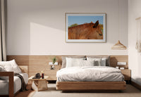 Modern Fine Art Photograph - Auburn #1