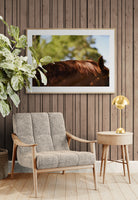 Modern Fine Art Photograph - Auburn #2
