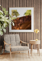 Modern Fine Art Photograph - Auburn #2