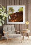 Modern Fine Art Photograph - Auburn #2