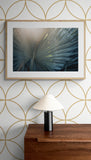 Modern Tropical Photograph - Bismarck Glow