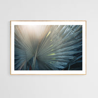 Modern Tropical Photograph - Bismarck Glow