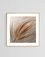 Modern Fine Art Photograph - Blush Feather #1