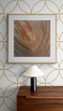 Modern Fine Art Photograph - Blush Feather #2