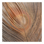 Modern Fine Art Photograph - Blush Feather #2