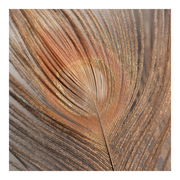 Modern Fine Art Photograph - Blush Feather #2