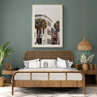 Charleston Palms - Fine Art Photograph