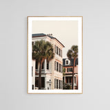 Charleston Palms - Fine Art Photograph