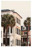 Charleston Palms - Fine Art Photograph