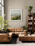 Modern Fine Art Photograph - Coastal Agave