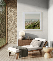 Modern Fine Art Photograph - Coastal Agave
