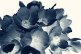 Modern Fine Art Print - Cyan Anemone #2